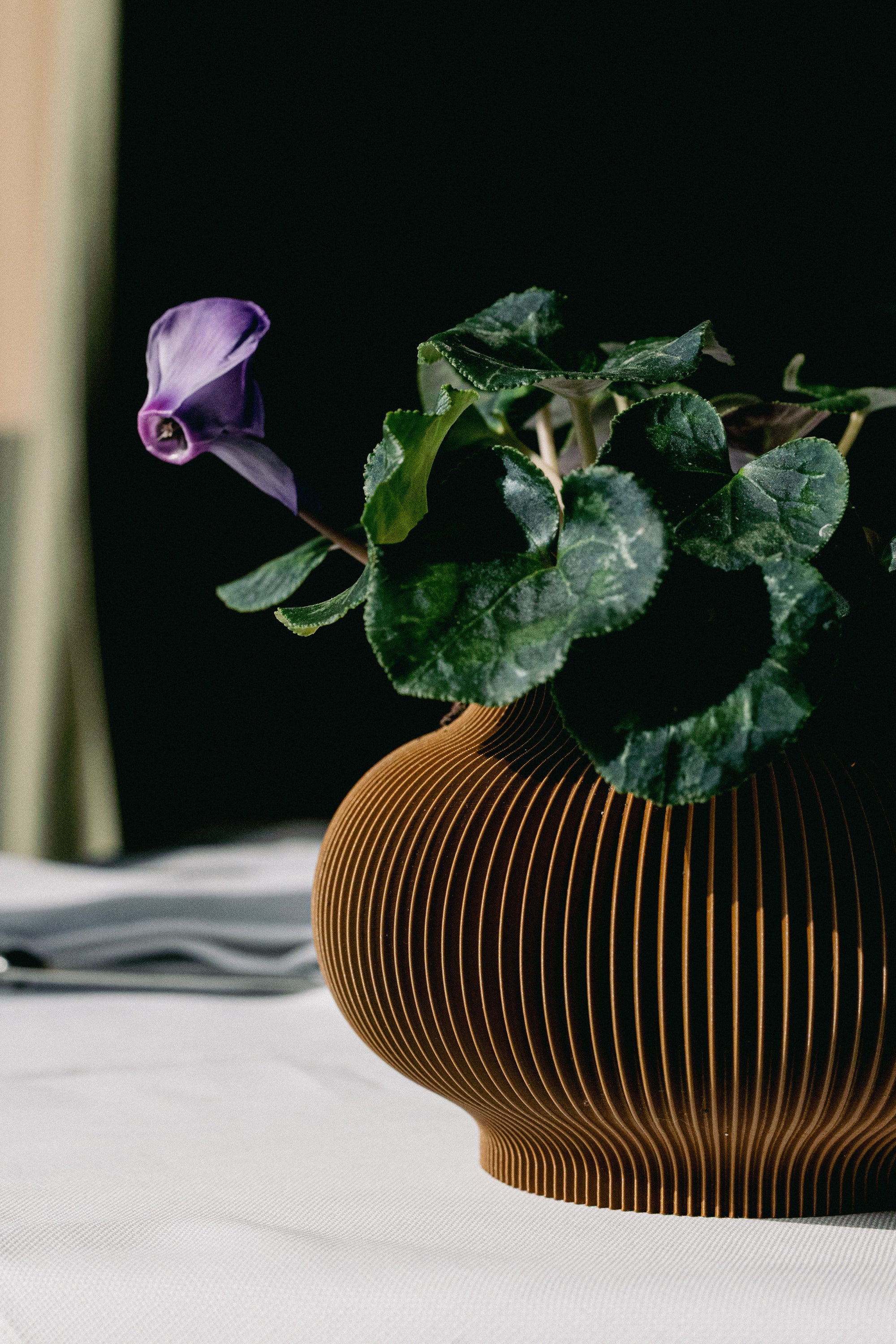 BAO – VASO
