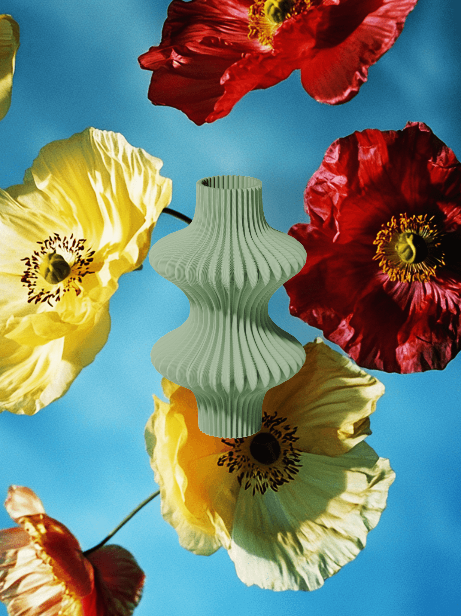 Sun – Diffusore (Maxi) - Bozoo Objects